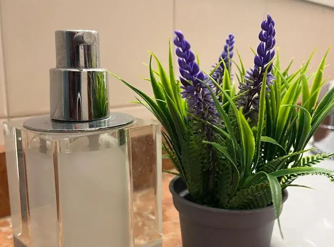 Lägenhet Dream Bulevar